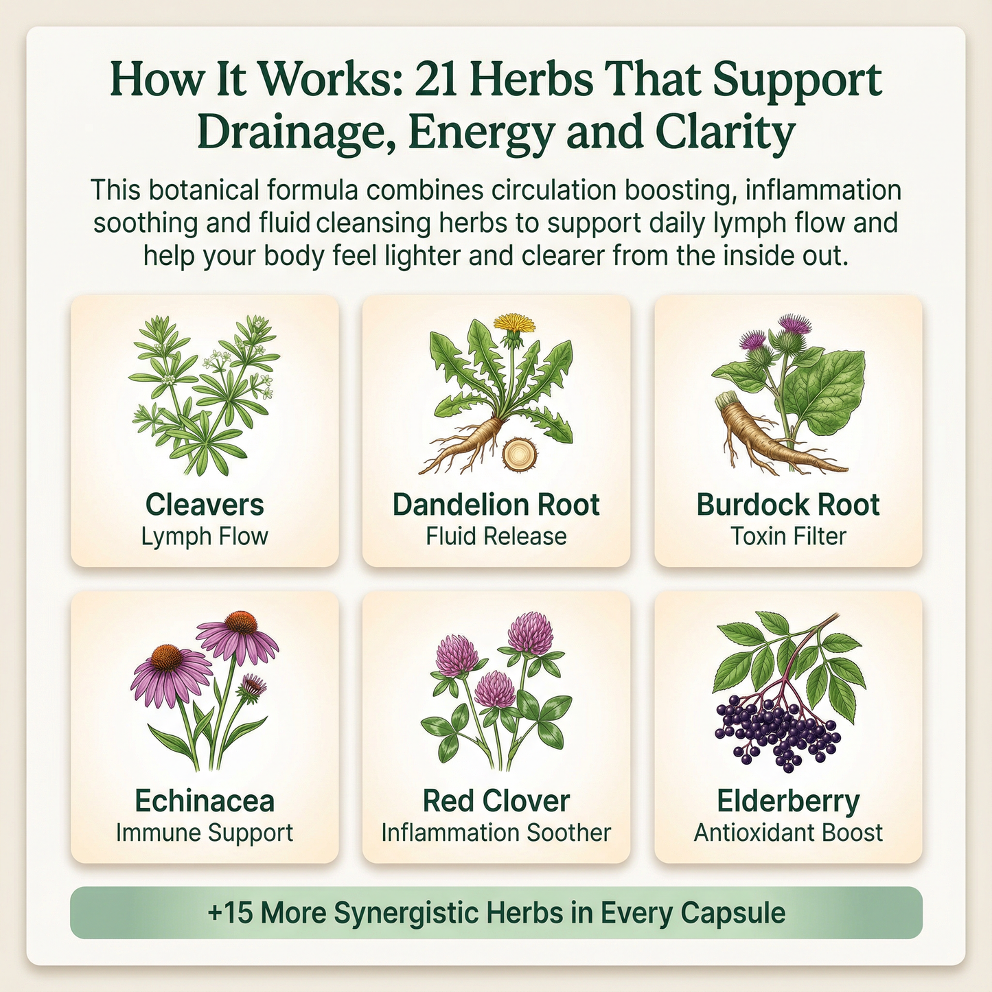 Vaera™ 21-in-1 Deep Lymph Detox & Flow Support